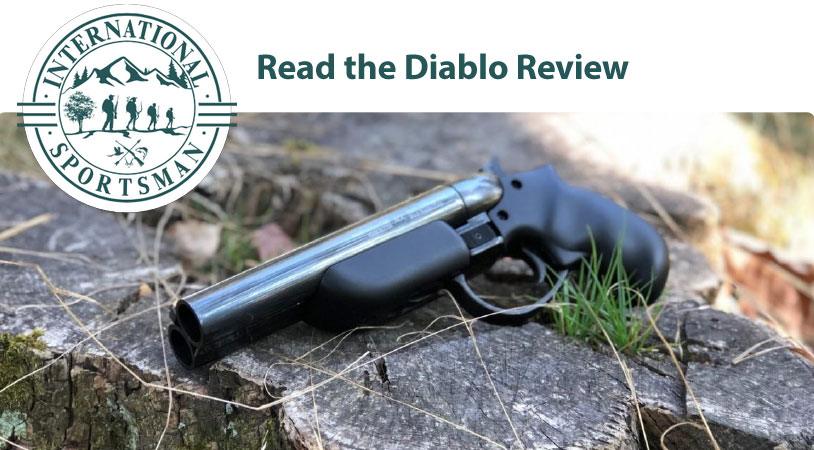 Read Diablo Review